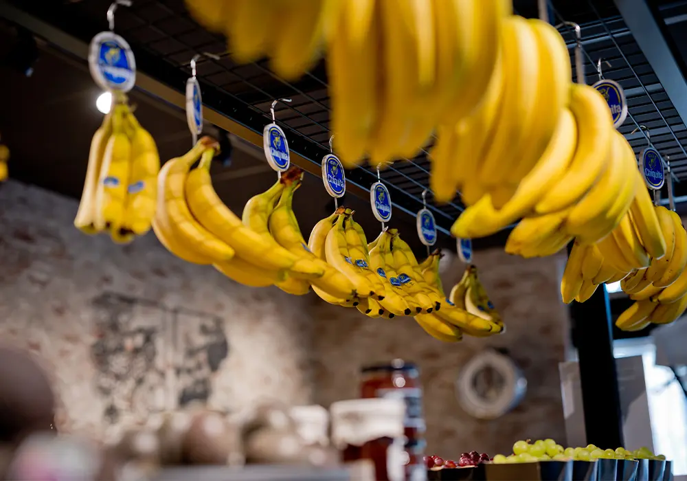 Werkfruit van De Vitaminebron