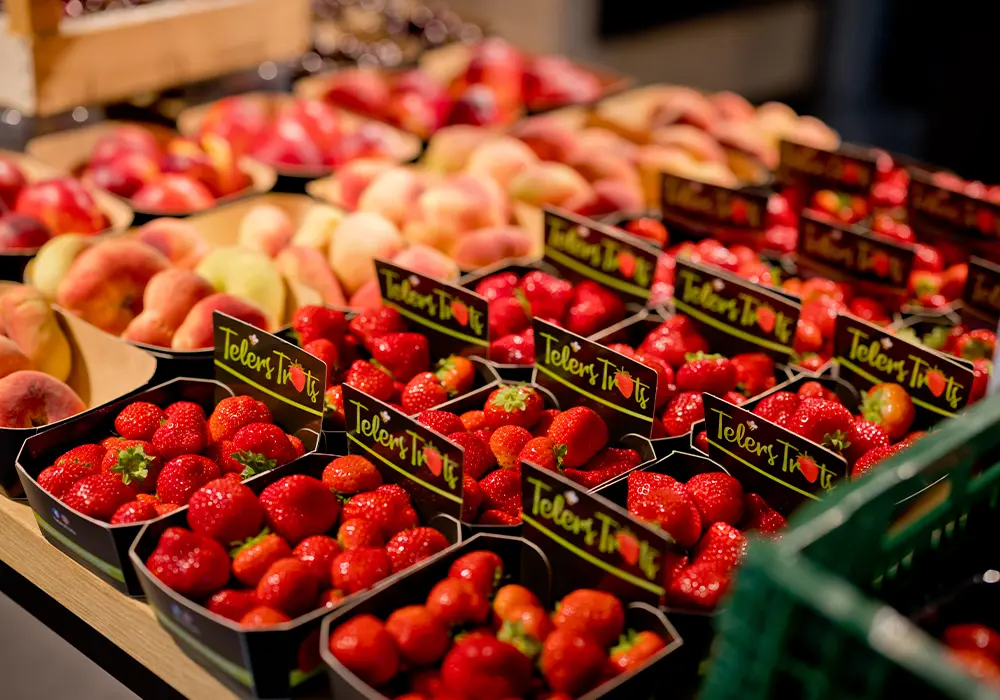 Werkfruit van De Vitaminebron